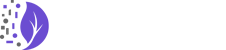 RaneWorks - Honolulu Web Design and SEO Services